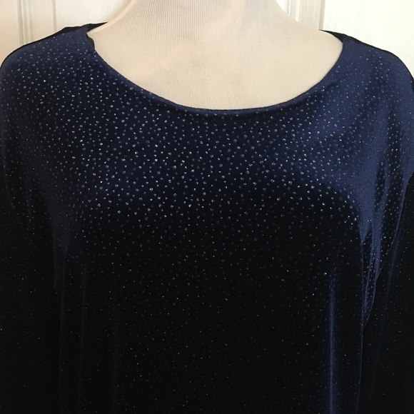 R&M Richards sz 16 pants and top, pant suit, formal, special occasion, sparkle. - Picture 5 of 13